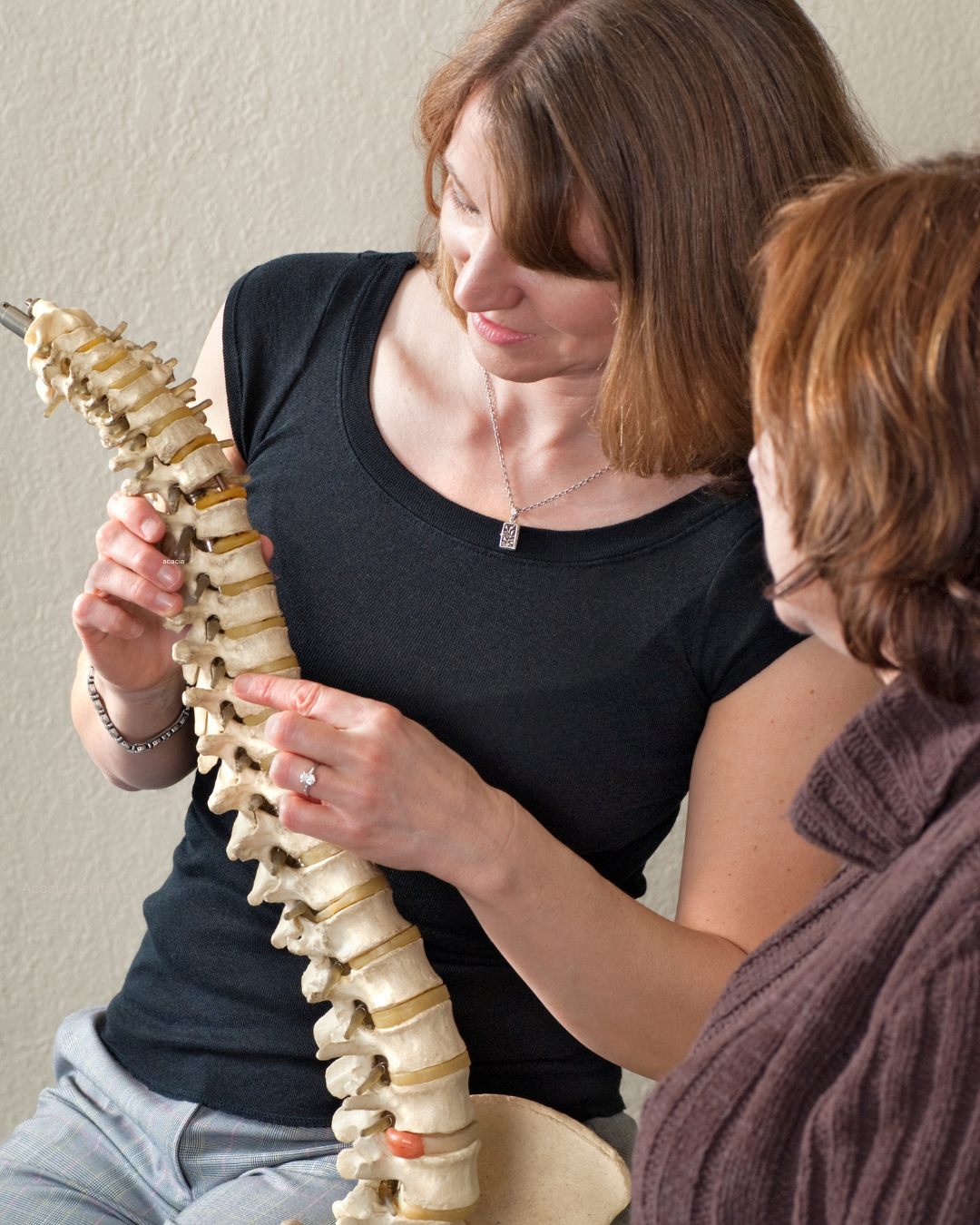 Chiropractor showing spinal model to patient