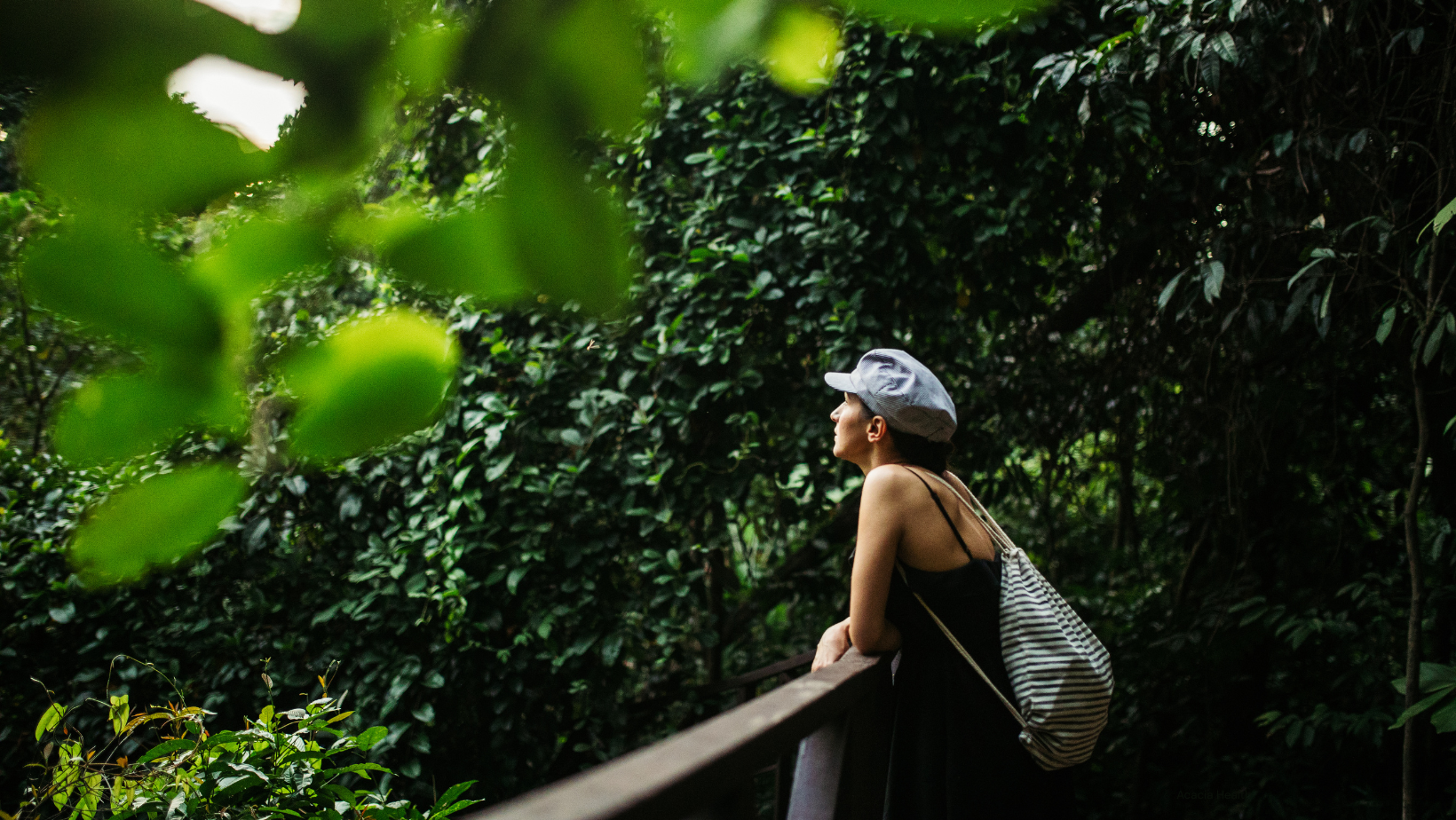 Woman standing in the trees and watching the sky