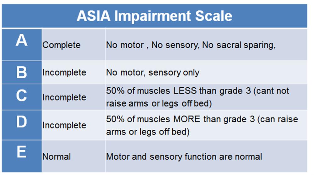 ASIA Scale for Spinal Cord Injury diagram