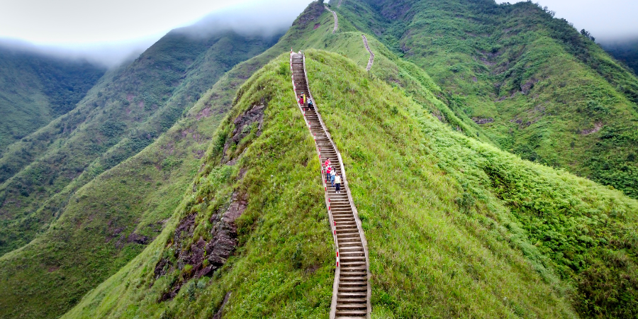 Group of hiker climbing really long stairs in the forest