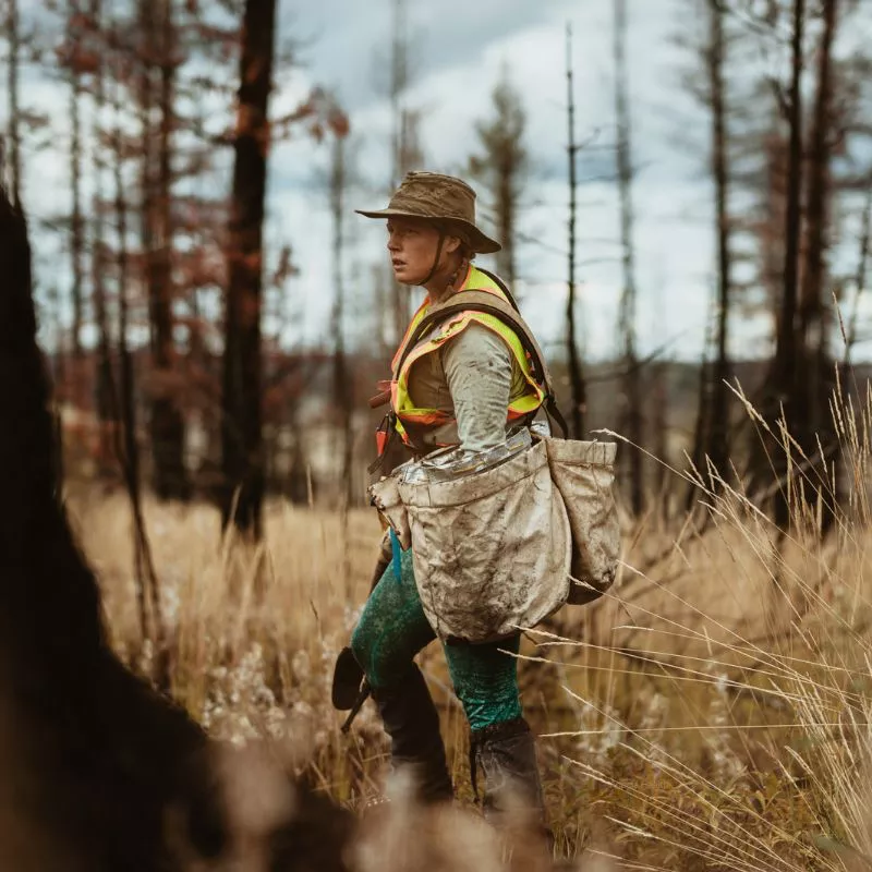 Female tree planter carrying bags of trees in the forest