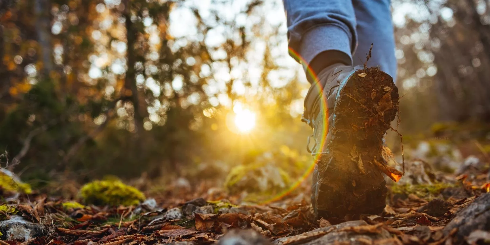 Person walking in nature