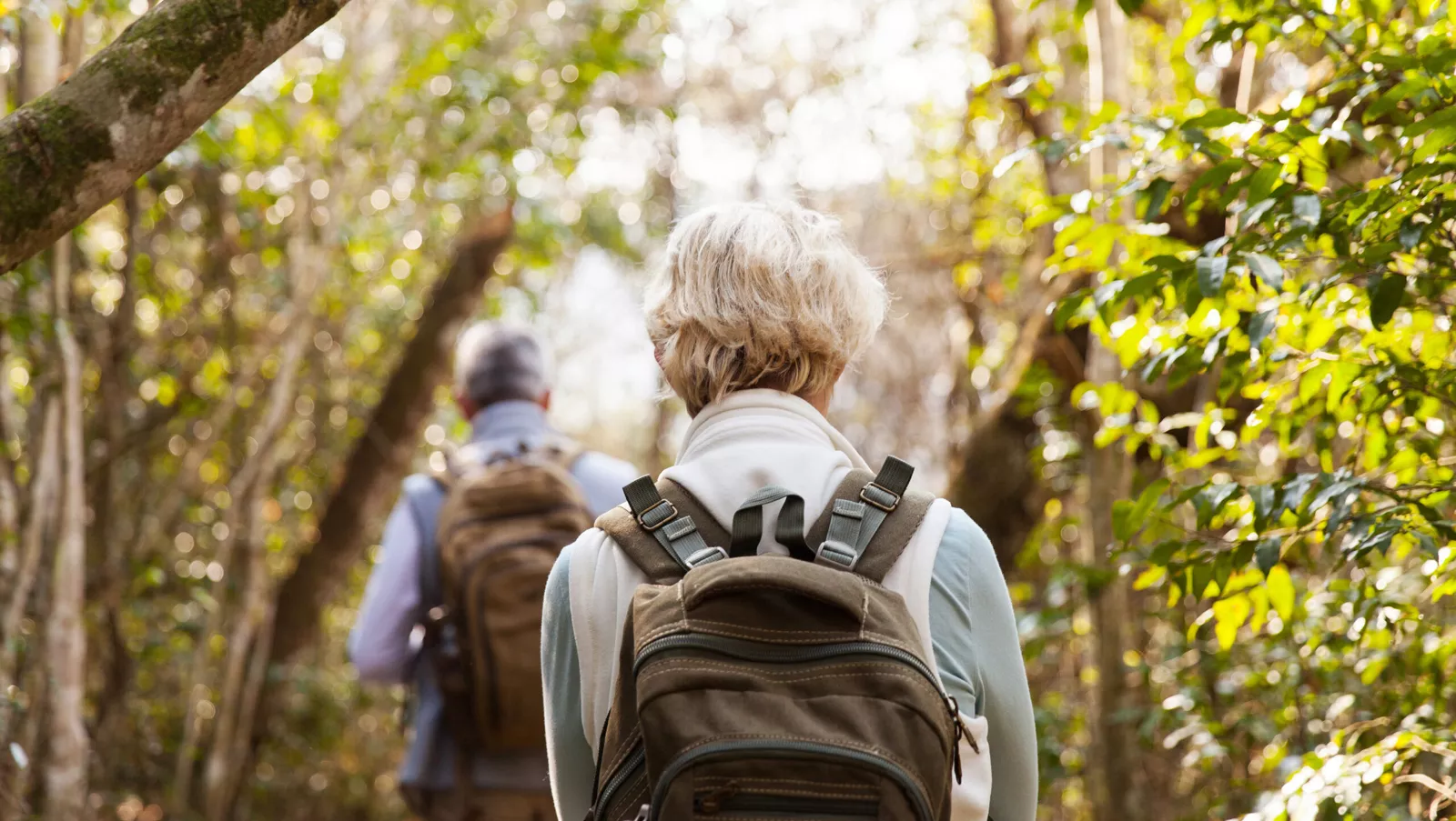 Elderly couple hiking in forest