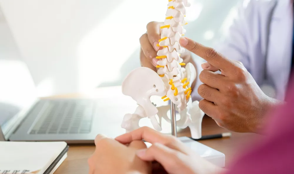 Chiropractor pointing to spine